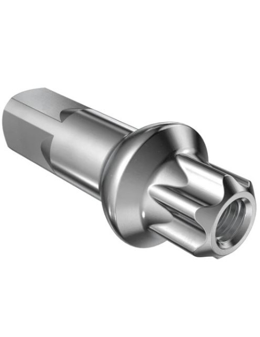 DT SWISS NIPPLES-PROLOCK SQUORX ALLOY 15MM